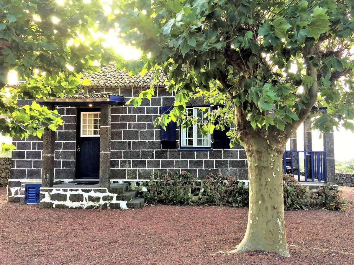 ריביירה גראנדה Casa Da Canada מראה חיצוני תמונה